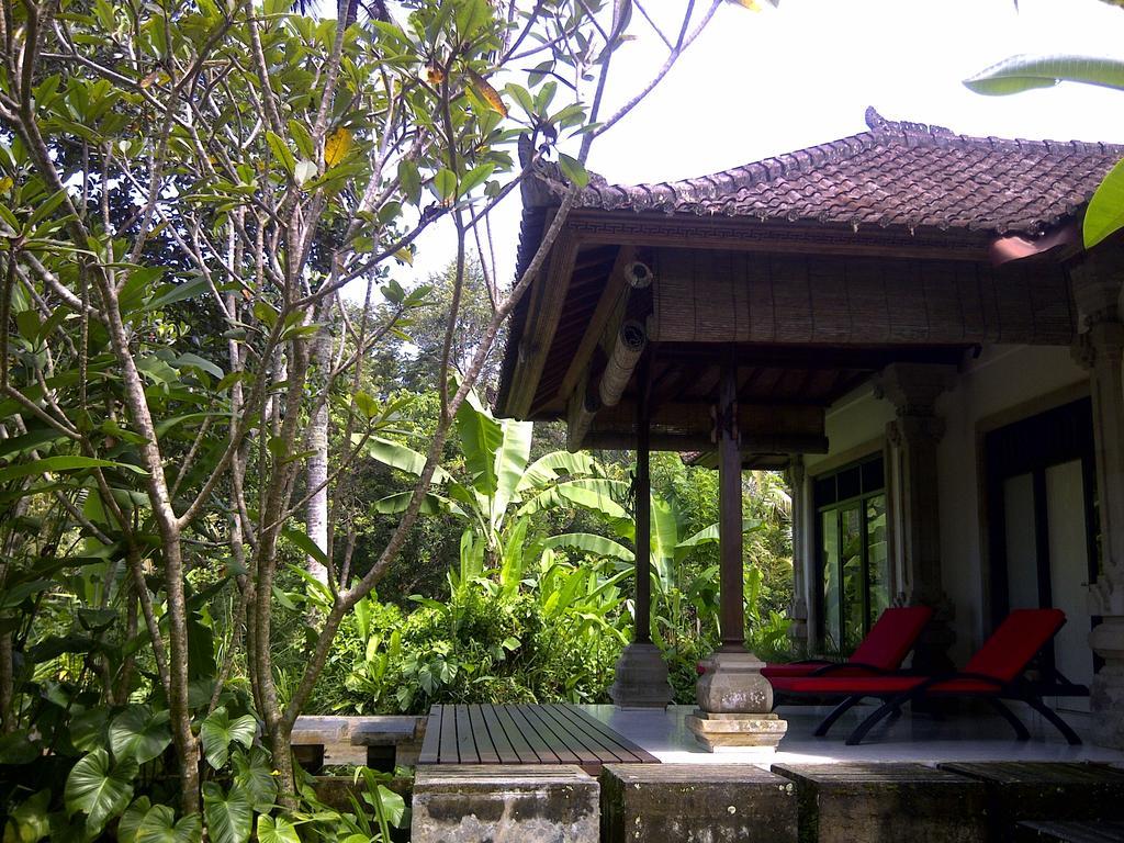 Villa Naga Ubud 객실 사진